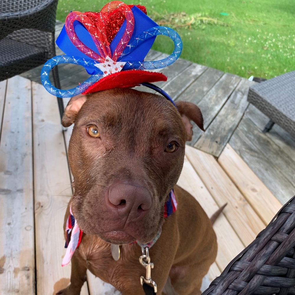 Meet your Posher, Kate